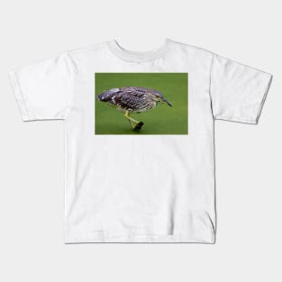 Juvenile Black-crowned Night Heron Kids T-Shirt